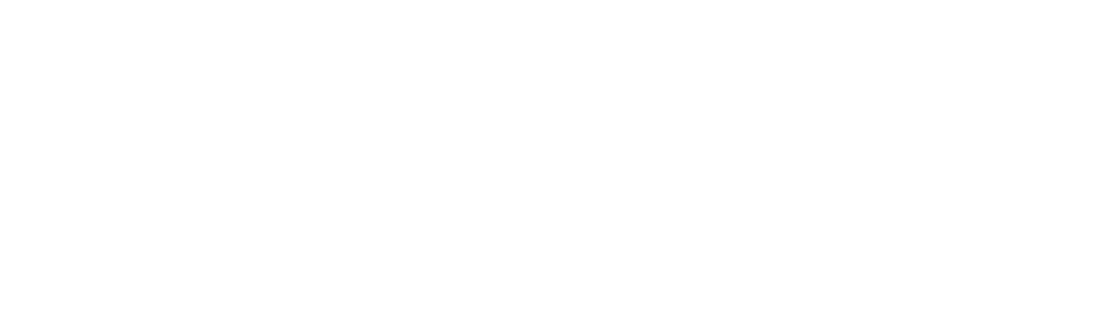 ankchink academy.